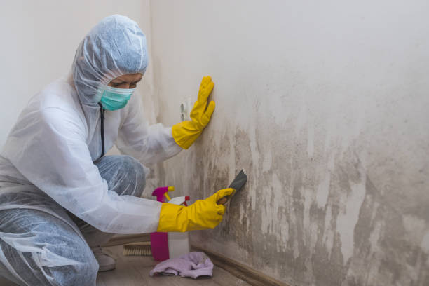 Water Damage Restoration in Atlanta, TX