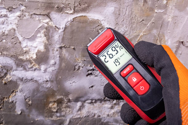 Best Mold Removal Company Near Me  in Atlanta, TX