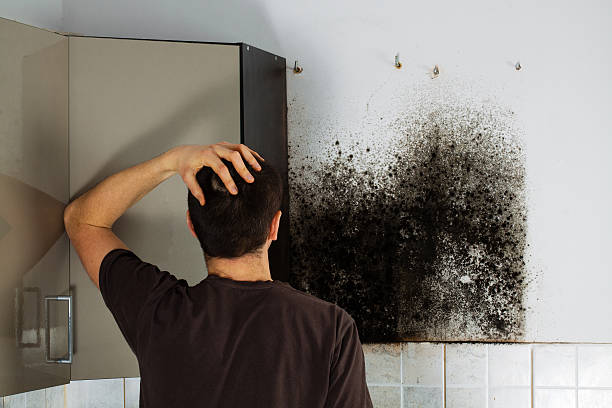 Best Commercial Mold Removal  in Atlanta, TX